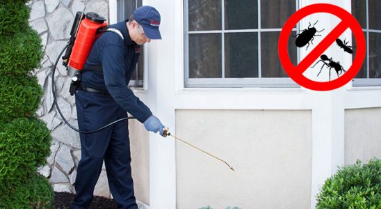 Erciş Kene İlaçlama böcek ilaçlama ve haşere kontrolü — ilaclama-tr.com